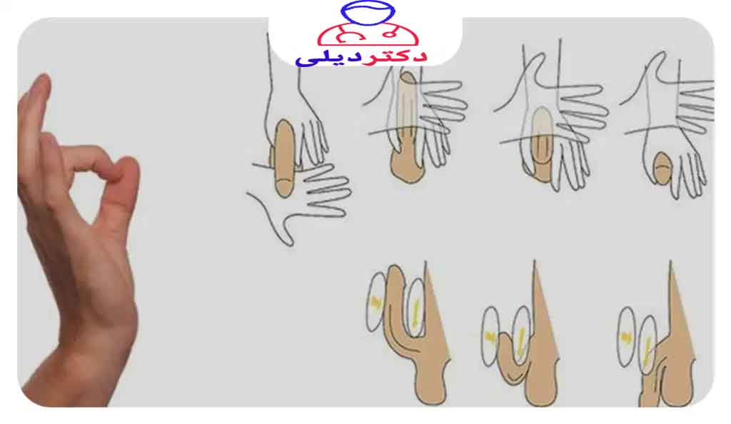 ورزش های افزایش طول و قطر آلت
